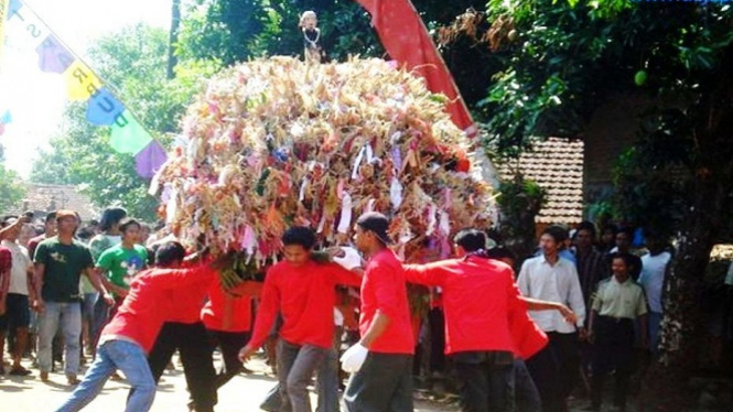 Tradisi sedekah bumi Jembul Tulakan Jepara