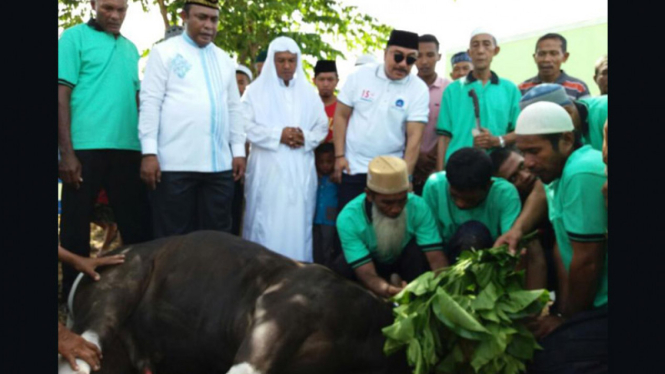 Fraksi Demokrat Kurban 59 Ekor Sapi di Kabupaten Raja Ampat