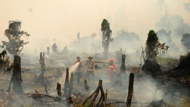 Foto ilustrasi/Suasana saat petugas kepolisian dibantu tim forest fire Sinar Mas Forestry berusaha memadamkan kebakaran hutan dan lahan yang terjadi di Desa Bonai Darusalam, Kabupaten Rokan Hulu, Riau, Minggu (28/8/2016).