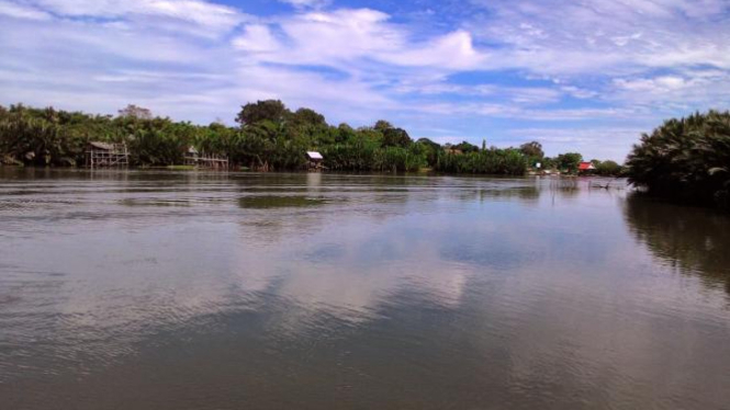 Delta Lakkang tampak dari sungai Tallo. (Nirwan)
