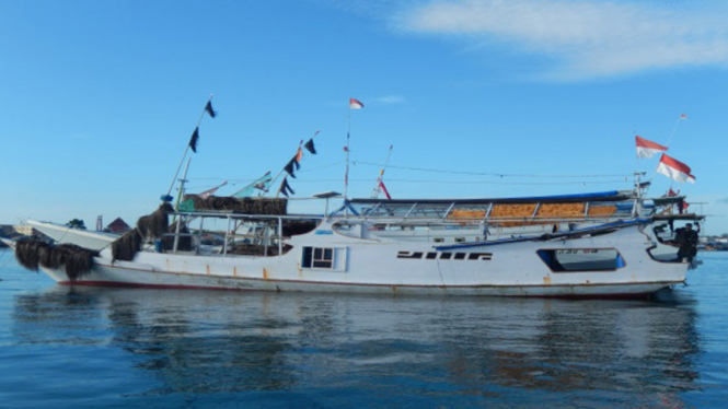Bea Cukai Tangkap 4 Kapal Pengangkut 1,3 Ton Telur Ikan Terbang  di Laut Aru