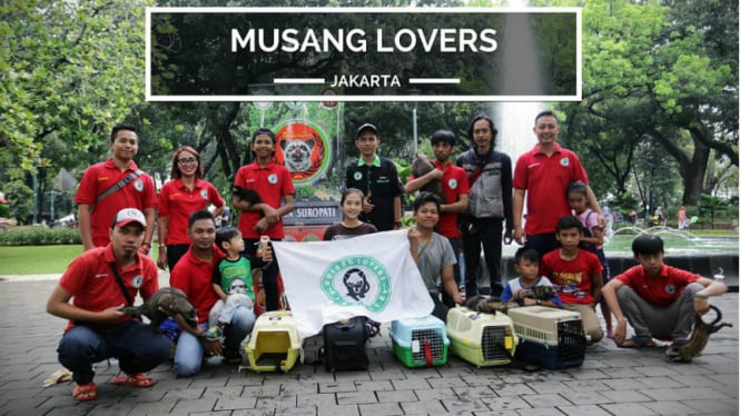 Komunitas Musang Lovers Jakarta