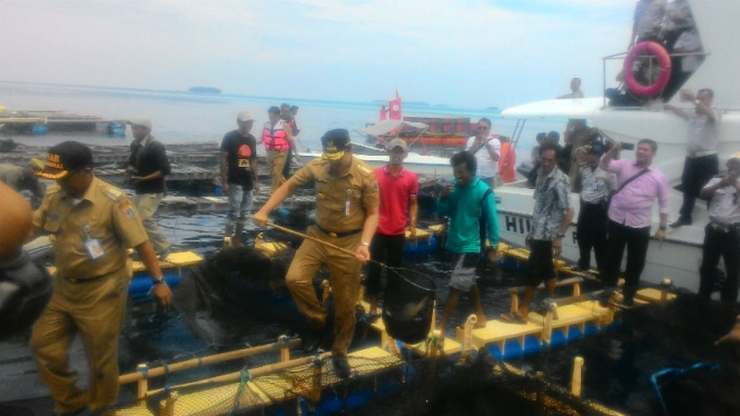 Basuki Tjahaja Purnama saat mengunjungi Kepulauan Seribu, Selasa, 27 September 2016.