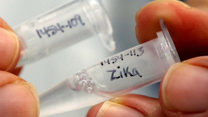 Pengembangan Vaksin untuk Virus Zika