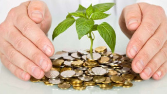 Investor Pemula Wajib Pelajari Hal Ini