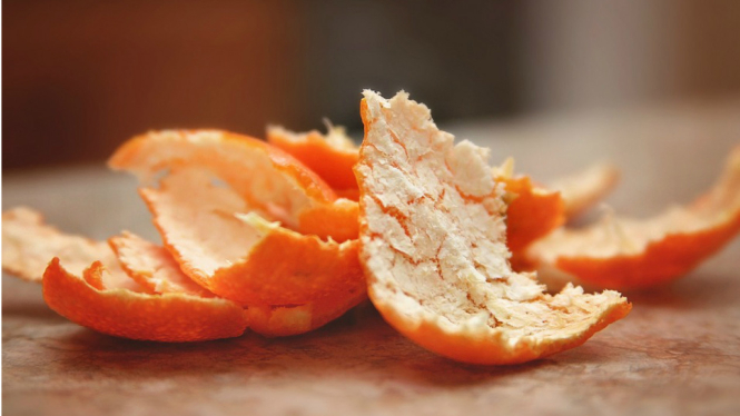 Ilustrasi kulit jeruk