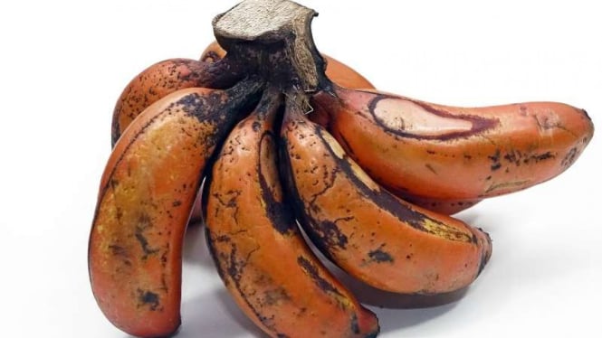 Ilustrasi pisang merah.