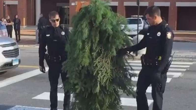 Polisi menangkap pria yang menyamar sebagai pohon.