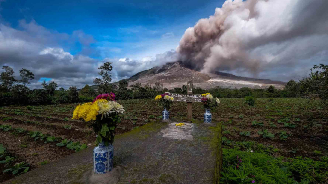 Gunung Sinabung menyemburkan material vulkanik dan awan panas terlihat dari Desa Tiga Serangkai, Karo, Sumatera Utara, Selasa (1/11/2016). 