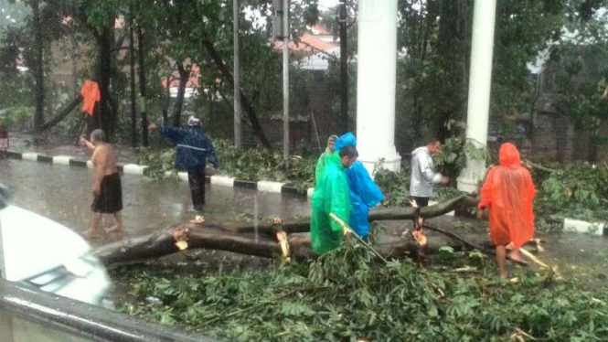 Pohon tumbang di Jalan Raya Bogor, dekat RS Harapan Bunda, Pasar Rebo, Jaktim.