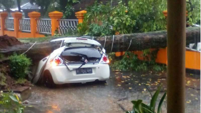 Honda Brio tertimpa pohon di TMII