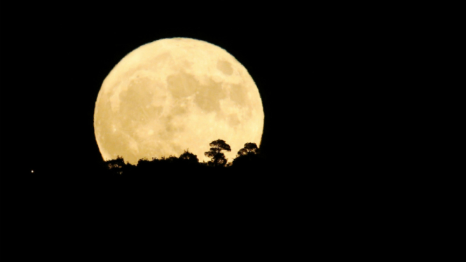 Supermoon di Tbilisi, Georgia, 14 November 2016. 