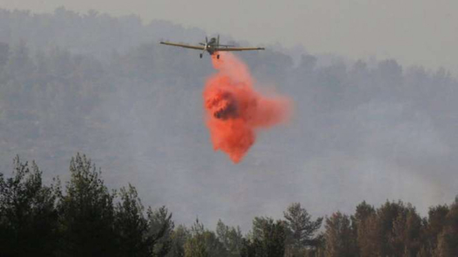 Sebuah pesawat mencoba memadamkan api yang membakar Israel selama dua hari.