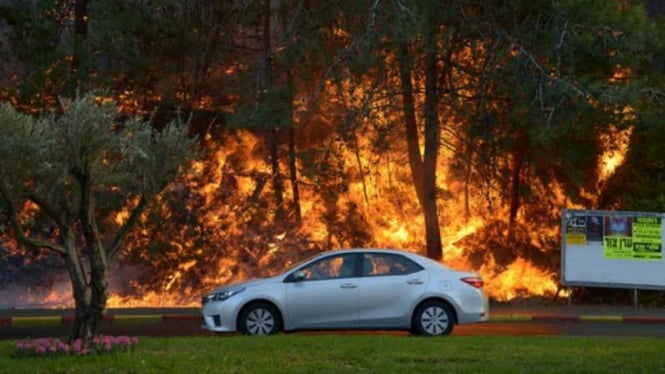 Sebuah mobil melintas depan api yang mulai merambah pinggiran hutan di Israel.