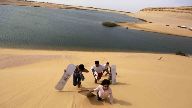 Sensasi Bermain Sandboarding di Gurun Pasir