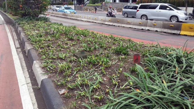 Tanaman dan bunga yang rusak di bundaran HI akibat aksi Kota Indonesia