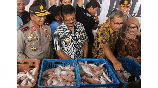Kapolda Sulawesi Selatan Irjen Pol Anton Charliyan didampingi Gubernur Syahrul Yasin Limpo dan Wali Kota Makassar Ramdhan Pomanto menunjukkan ikan berformalin, Jumat (9/12/2016)
