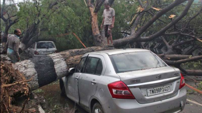 Sebuah mobil tertimpa pohon yang ambruk akibat badai di Chennai, India.