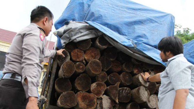 Kepolisian Daerah Riau menyita kayu-kayu ilegal hasil pembalakan liar hutan di Kabupaten Siak pada Rabu, 14 Desember 2016.