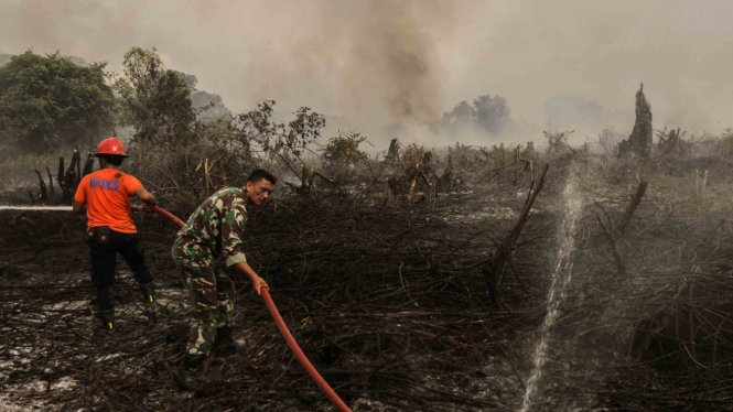 Ilustrasi-Kebakaran Lahan Gambut 