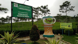 Ada Apa dengan Brebes?