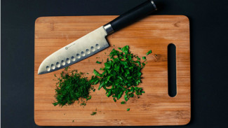 Barang-barang Dapur ini Sumber Bakteri Menjijikkan