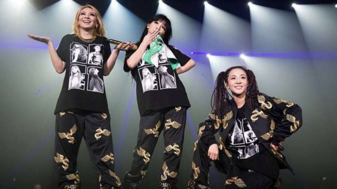 Personel girlband Korea, 2NE1.