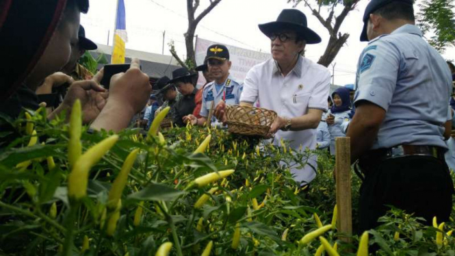 Menteri Hukum dan HAM, Yasonna Hamonangan Laoly, meresmikan kebun cabai di Lapas Kelas I Makassar pada 1 Oktober 2016.