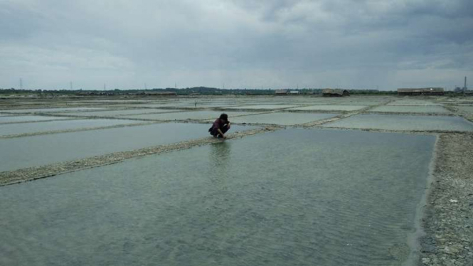 Petani garam rakyat di Kabupaten Jeneponto, Sulawesi Selatan