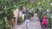 Photo Mini 1