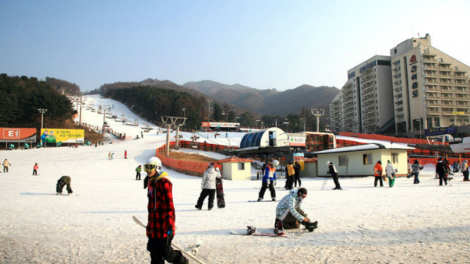 Bears Town, Korea Selatan