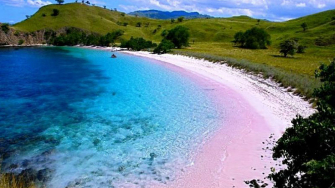 Pink Beach, Labuan Bajo