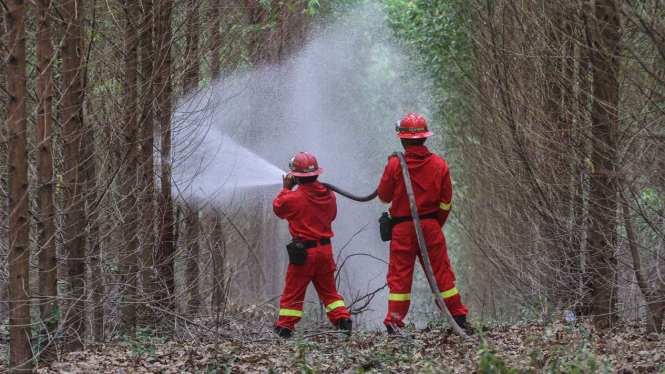 Ilustrasi - Simulasi penanganan kebakaran hutan dan lahan di Sumatera Selatan