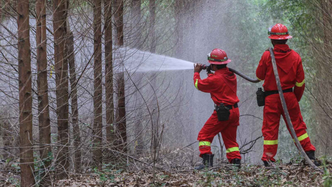 Simulasi Penanganan Kebakaran Hutan