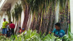 Photo Mini 1
