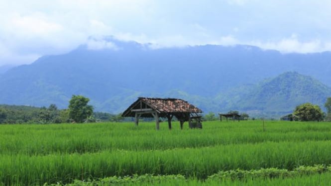  Salem  Arunika dari Brebes 