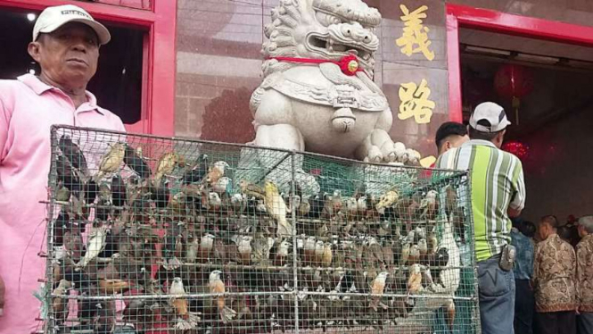 Penjual burung pipit untuk ritual Imlek di Kelenteng Xian Ma, Jalan Sulawesi, Kota Makassar, pada Jumat, 27 Januari 2017.