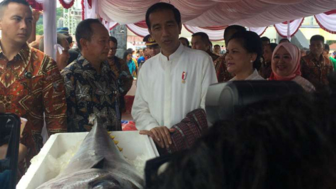 Presiden Joko Widodo meninjau potensi perikanan di Ambon, Maluku, pada Kamis, 9 Februari 2017.