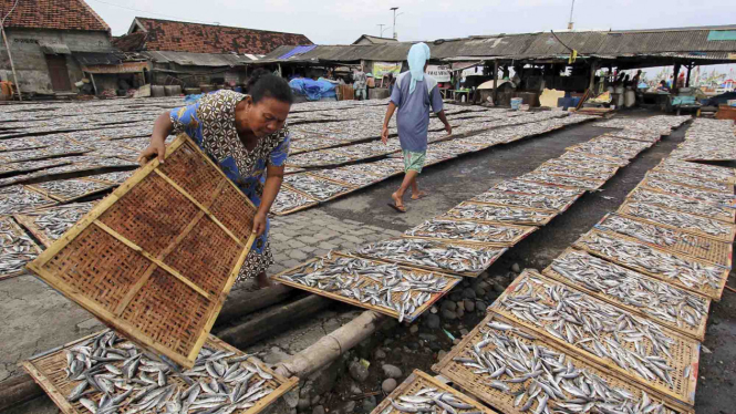 Ilustrasi - aktivitas pengusaha ikan asin di Indonesia.