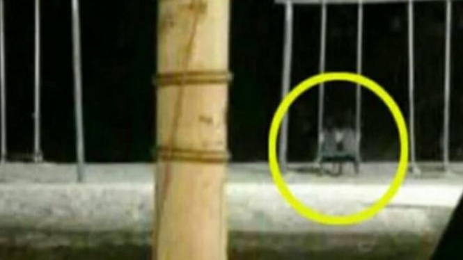 620 Hantu Seram Terekam Kamera HD Terbaik