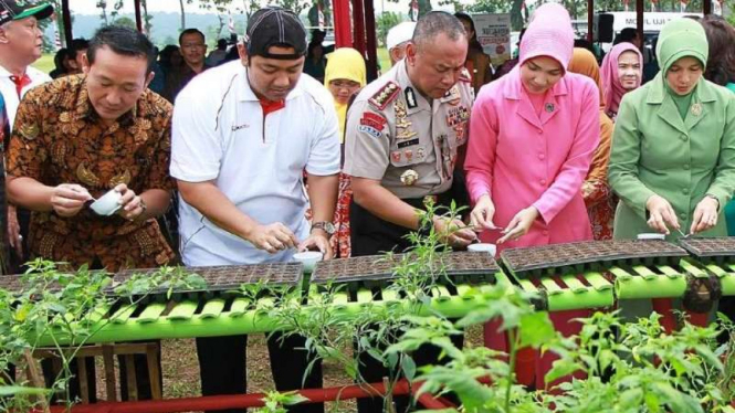 Wali Kota Semarang bersama Muspida menanam cabai di Desa Gilisari, Semarang.