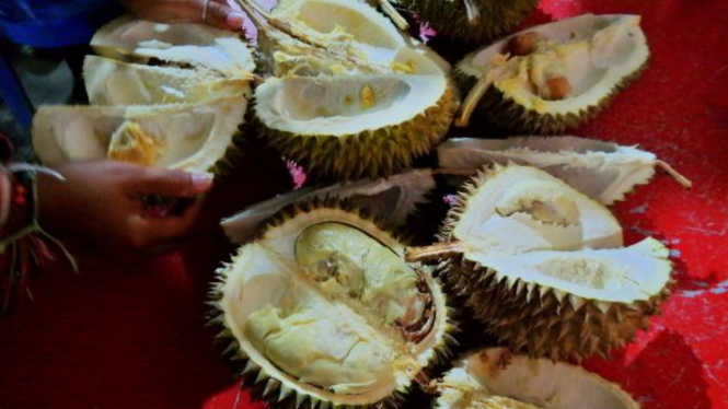 Download 82 Koleksi Gambar Durian Di Pasar  Gratis