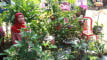 Photo Mini 2