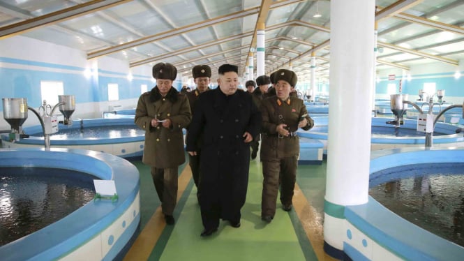 Kim Jong-un, Pemimpin Korea Utara.