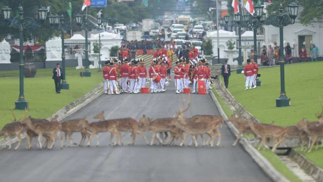 Paspampres dan kawanan rusa di Istana Kepresidenan Bogor
