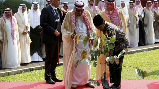 Penanaman Pohon Raja Salman di Istana Kepresidenan