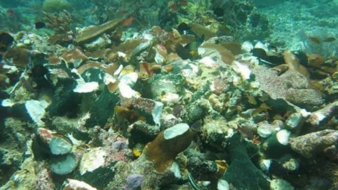 Terumbu karang Raja Ampat yang rusak akibat dilindas kapal MS Caledonian Sky