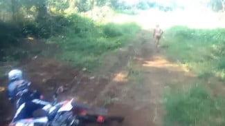 Orang Pendek, Dibiarkan Jadi Misteri atau Diburu?