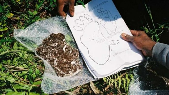Bentuk jejak Orang Pendek yang penrah ditemukan peneliti pada tahun 2011 di Taman Nasional Kerinci Seblat.
