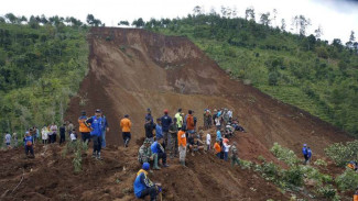 Kebun Jahe dan Sebab Longsor Ponorogo, Apa Kaitannya?